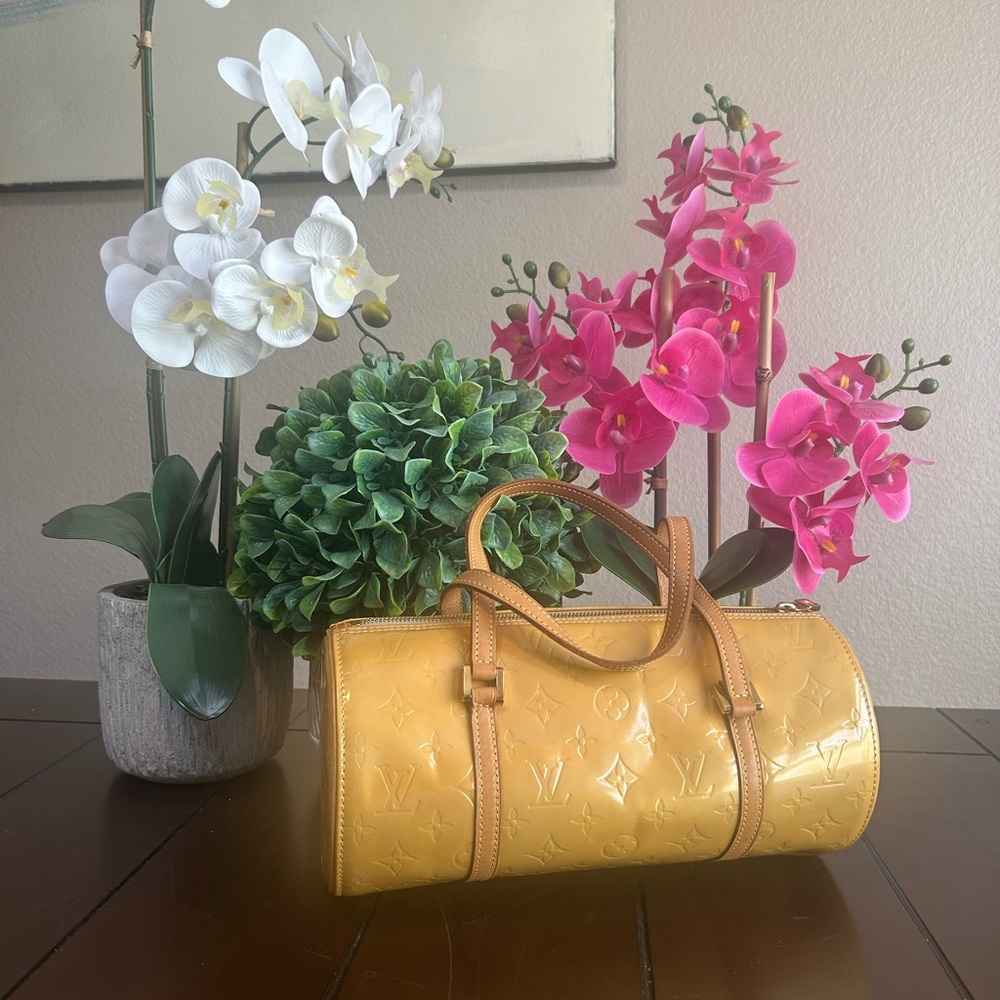 Louis Vuitton Monogram Vernis Papillon bag